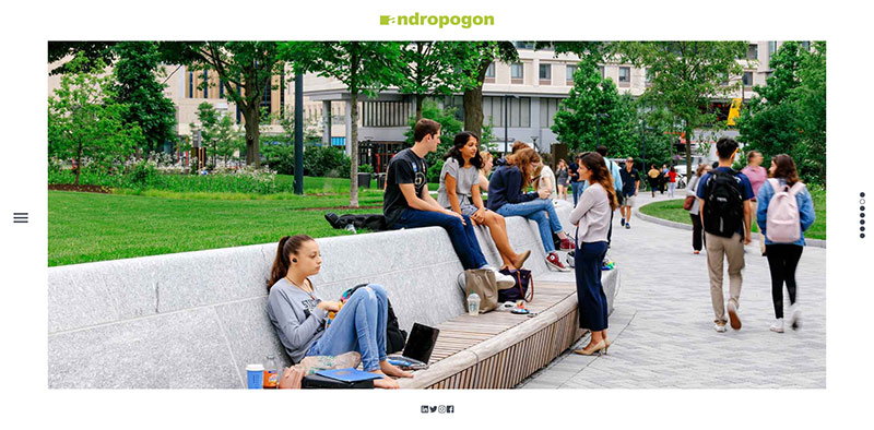 Andropogon-Associates,-Ltd.